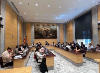 La Diputació de Girona aprova una moció per impulsar una transició energètica més participada i amb lideratge públic