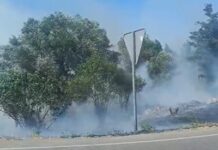 Els Bombers treballen per apagar un incendi als Masos de Pals incendi pals
