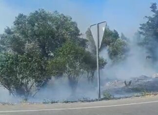 Els Bombers treballen per apagar un incendi als Masos de Pals incendi pals