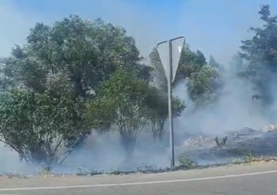 incendi pals
