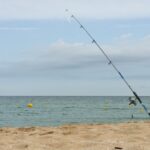 Repunten de nou els casos de gossos amb ferides per la ingesta d’hams abandonats a les platges