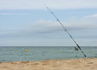 Repunten de nou els casos de gossos amb ferides per la ingesta d’hams abandonats a les platges