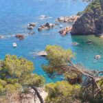 SOS Costa Brava denuncia un nou robatori de boies de seguretat a l’espai natural Cap Roig-Castell