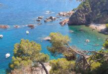 Vandalitzen una quinzena de boies de seguretat de l’espai natural Cap Roig-Castell