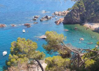 SOS Costa Brava denuncia un nou robatori de boies de seguretat a l’espai natural Cap Roig-Castell