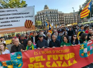 Més de 700 discriminacions lingüístiques els últims cinc anys a les comarques gironines