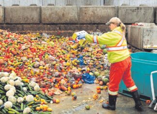 La Diputació de Girona impulsa una campanya contra el malbaratament alimentari amb formacions i activitats arreu de les comarques gironines