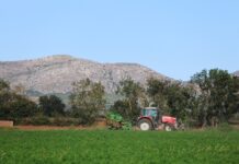 Quins tràmits han d’assumir avui els pagesos i com ha canviat la gestió del camp català Pagès treballant el camp