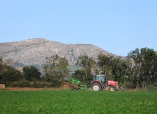 Quins tràmits han d’assumir avui els pagesos i com ha canviat la gestió del camp català Pagès treballant el camp