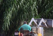 Qui gestiona avui el territori? Menys pagesos, més bosc i un nou escenari per als grans incendis pages en un tractor