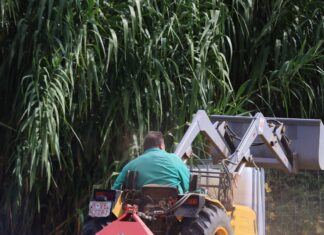 Qui gestiona avui el territori? Menys pagesos, més bosc i un nou escenari per als grans incendis pages en un tractor