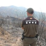 El risc d’incendi forestal es mantindrà molt alt aquesta setmana a les comarques de Girona