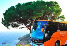 Palafrugell recupera l’autobús a les platges amb connexions a Calella, Llafranc i Tamariu privat:-palafrugell-recupera-aquest-estiu-el-servei-d’autobus-a-les-platges-amb-dues-linies