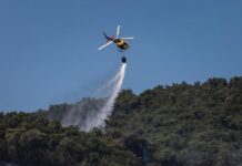 Xavier Saltor: “Quan el foc avança més ràpid que la capacitat d’extinció, ens trobem davant d’un gran incendi forestal” privat:-en-llibertat-amb-carrecs-el-detingut-per-provocar-l’incendi-de-les-gavarres