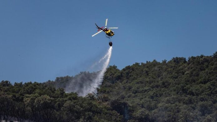 privat:-en-llibertat-amb-carrecs-el-detingut-per-provocar-l’incendi-de-les-gavarres