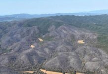 Els Bombers donen per controlat l’incendi de les Gavarres privat:-els-bombers-mantenen-l’optimisme-a-les-gavarres-pero-temen-la-simultaneitat-amb-un-nou-foc-a-terrades