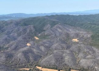 Els Bombers donen per controlat l’incendi de les Gavarres privat:-els-bombers-mantenen-l’optimisme-a-les-gavarres-pero-temen-la-simultaneitat-amb-un-nou-foc-a-terrades