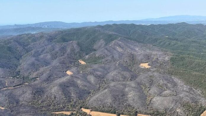 privat:-els-bombers-mantenen-l’optimisme-a-les-gavarres-pero-temen-la-simultaneitat-amb-un-nou-foc-a-terrades