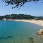 El Baix Empordà és la segona comarca amb més incidències a les zones de bany aquest estiu privat:-el-consorci-d’aigues-comenca-dema,-dissabte,-els-treballs-de-reparacio-de-l’emissari-submari-de-la-platja-de-castell