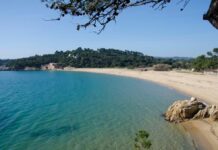El Baix Empordà és la segona comarca amb més incidències a les zones de bany aquest estiu privat:-el-consorci-d’aigues-comenca-dema,-dissabte,-els-treballs-de-reparacio-de-l’emissari-submari-de-la-platja-de-castell