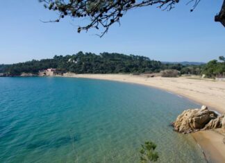 El Baix Empordà és la segona comarca amb més incidències a les zones de bany aquest estiu privat:-el-consorci-d’aigues-comenca-dema,-dissabte,-els-treballs-de-reparacio-de-l’emissari-submari-de-la-platja-de-castell