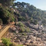 Palafrugell reobre un tram del camí de ronda entre Tamariu i Cala Pedrosa després de les obres de millora privat:-palafrugell-reobre-un-tram-del-cami-de-ronda-entre-tamariu-i-cala-pedrosa