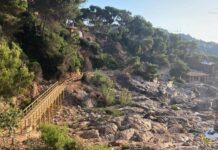 Palafrugell reobre un tram del camí de ronda entre Tamariu i Cala Pedrosa després de les obres de millora privat:-palafrugell-reobre-un-tram-del-cami-de-ronda-entre-tamariu-i-cala-pedrosa