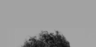 Macy Gray actuarà a Barcelona aquest desembre per presentar el seu nou disc macy-gray-actuara-a-barcelona-aquest-desembre-per-presentar-el-seu-nou-disc