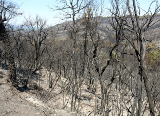 L’alcalde de Cruïlles critica el confinament de tot el municipi quan només hi havia un sol nucli habitat afectat Cruïlles incendi