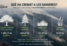 Què ha cremat realment l’incendi de les Gavarres? Un anàlisi del CREAF revela quin és l’ecosistema més afectat