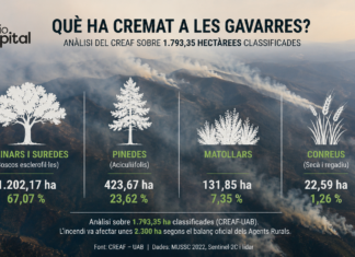 Què ha cremat realment l’incendi de les Gavarres? Un anàlisi del CREAF revela quin és l’ecosistema més afectat