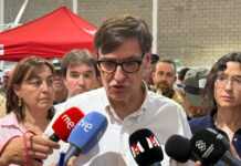 El Govern prepara ajuts per impulsar la gestió dels boscos i reduir el risc d’incendis