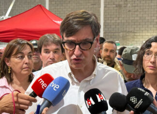 El Govern prepara ajuts per impulsar la gestió dels boscos i reduir el risc d’incendis