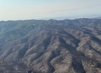 Els Bombers descarten per ara controlar l’incendi de les Gavarres, que pateix algunes revifades i té punts calents incendi Gavarres Bombers