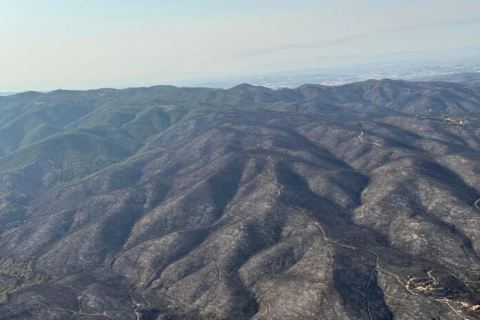 incendi Gavarres Bombers