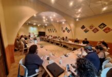Els alcaldes del Baix Empordà coordinen les al·legacions al PLATER per defensar un model propi de renovables