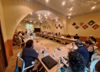 Els alcaldes del Baix Empordà coordinen les al·legacions al PLATER per defensar un model propi de renovables