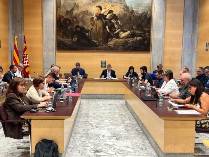Plenari juliol