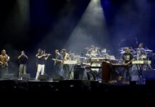 Estil Snarky Puppy