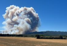 Montse Molla: «Les Gavarres no s’han de gestionar, han de servir per viure-hi» Incendi vist des de la Bisbal