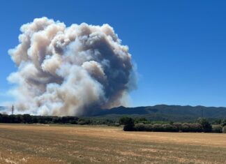 Montse Molla: «Les Gavarres no s’han de gestionar, han de servir per viure-hi» Incendi vist des de la Bisbal