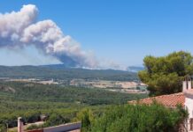 Marc Trayter: «La responsabilitat podria estendre’s més enllà de l’operari detingut» Incendi vist des de Pals