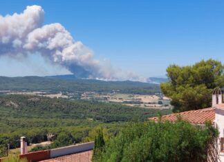 Marc Trayter: «La responsabilitat podria estendre’s més enllà de l’operari detingut» Incendi vist des de Pals