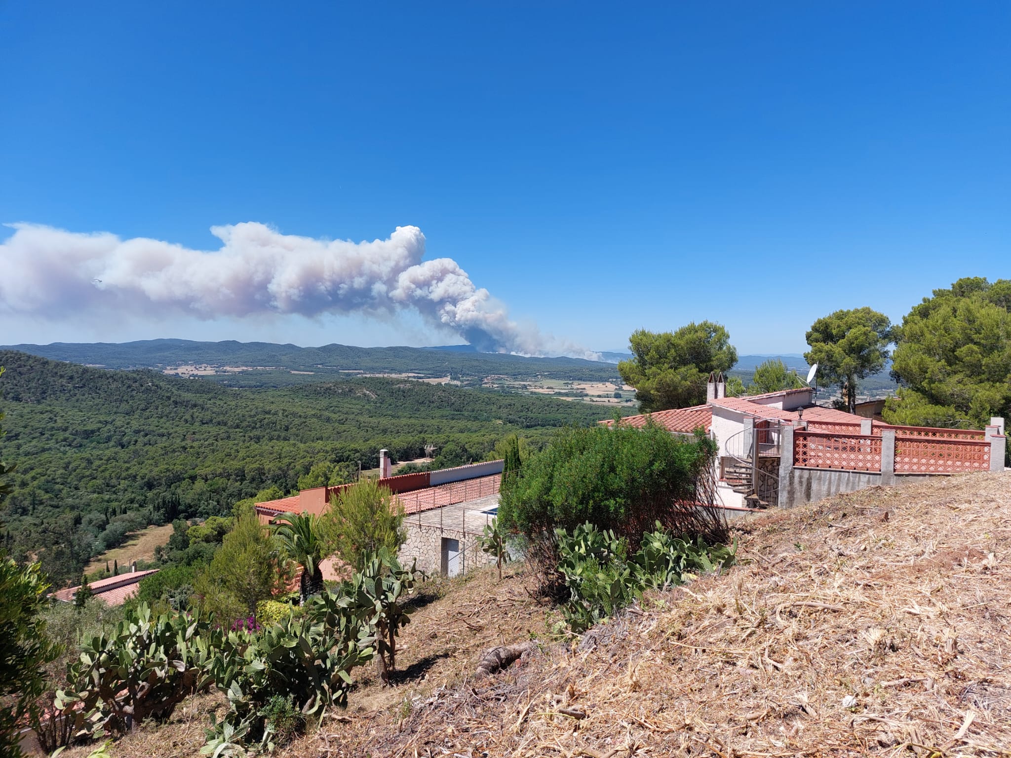 Incendi vist des de Pals