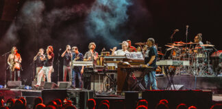 Estil Snarky Puppy