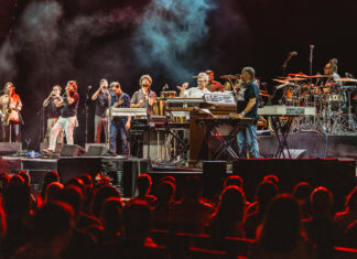 Estil Snarky Puppy