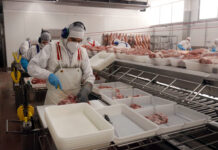 Les exportacions de les càrnies gironines cauen fins a un 38% al maig arrossegades pels aranzels de la Xina exportacions càrnies