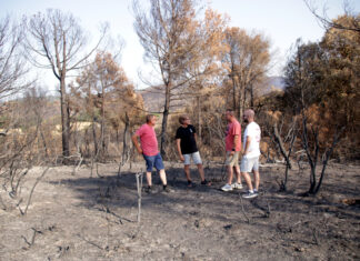 Una vintena d’entitats impulsen una jornada solidària per recaptar fons per als ADF després de l’incendi de les Gavarres