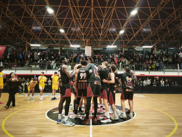 bisbal bàsquet