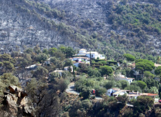 Els veïns de Calonge afectats per l’incendi comencen a girar full: «Vam passar molta por i nervis» incendi Gavarres zona de Calonge